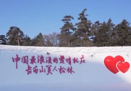 愛情森林、冰雪研學(xué)……解鎖“冰雪+”新場景 冬季文旅消費煥發(fā)新活力