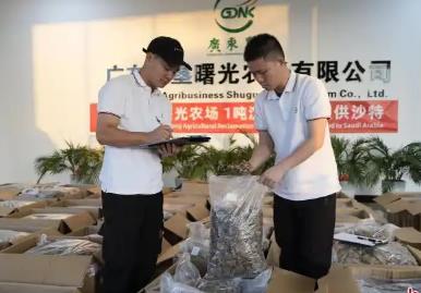 “中國沉香之鄉(xiāng)”廣東電白沉香首次大批量出口