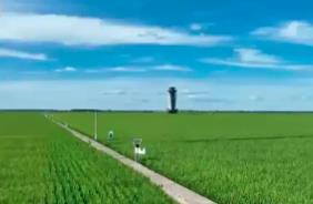 衛(wèi)星“看”莊稼、大數(shù)據(jù)“算”收成 農(nóng)業(yè)發(fā)展向“新”而行