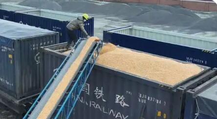 整合運輸資源 開展多式聯(lián)運 我國“北糧南運”進入暢通高效新階段