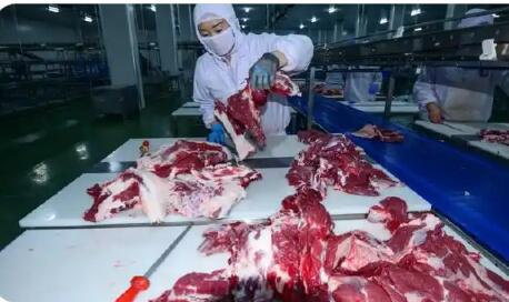 進(jìn)口牛肉激增，誰來“保障”國內(nèi)產(chǎn)業(yè)健康發(fā)展？