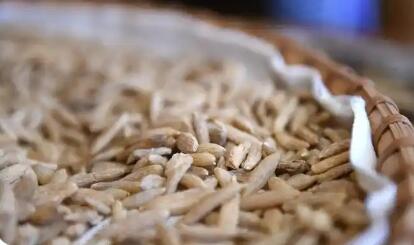 四川三臺(tái)縣：奏響麥冬產(chǎn)業(yè)“高值化”新樂(lè)章