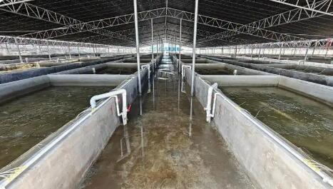 廣東鹽業(yè)集團(tuán)全鏈布局現(xiàn)代化海洋牧場(chǎng)