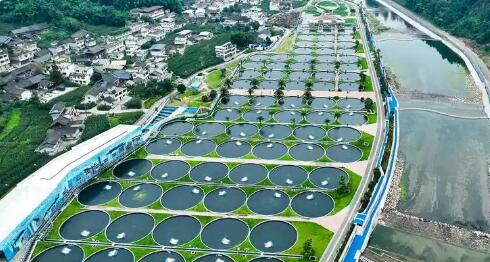 四川加力推進(jìn)水產(chǎn)業(yè)高質(zhì)量發(fā)展