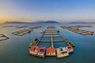 福建寧德：陸海共治 向美而行