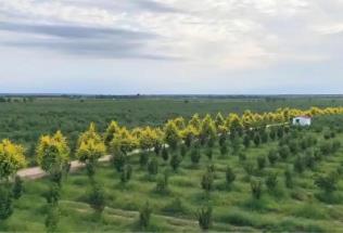 內(nèi)蒙古敖漢旗：生態(tài)答卷亮眼 特色產(chǎn)業(yè)富民