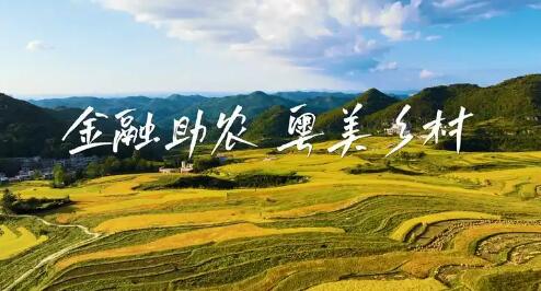 從“保險+期貨”看金融助農的溫度與力量