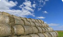 我國將精準發(fā)力促農業(yè)固體廢棄物“變廢為寶”