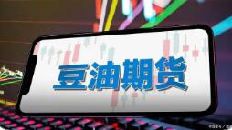 大商所豆油期貨上市20年 產業(yè)參與度持續(xù)提升