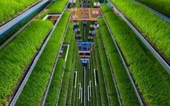 我國將重點建設6類國家農業(yè)現(xiàn)代化示范區(qū)