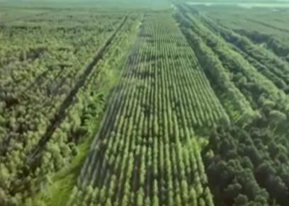 生態(tài)產品總值核算技術指南國家標準發(fā)布 助力“綠水青山”生態(tài)價值實現(xiàn)精準量化