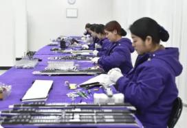 從小眾突圍到規(guī)范領(lǐng)跑 行業(yè)協(xié)會以“組合拳”引導(dǎo)電吹管產(chǎn)業(yè)高質(zhì)量發(fā)展