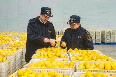 2025年四川外貿(mào)進出口總值10318.1億元