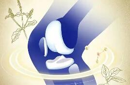 “骨關(guān)節(jié)健康”納入保健功能目錄　保健食品市場(chǎng)迎來(lái)“新風(fēng)口”