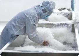 “中國(guó)羽絨之鄉(xiāng)”廣東吳川羽絨新年出口訂單爆滿