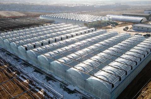 中國借助科技創(chuàng)新賦能農業(yè)發(fā)展