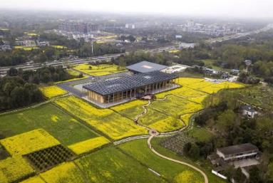 2025年四川農(nóng)村社會事業(yè)成效顯著 27個典型案例發(fā)布推廣