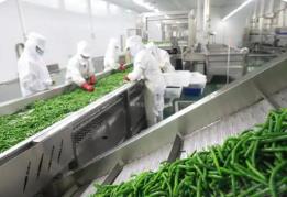 事關蔬菜制品生產 市場監(jiān)管總局公開征求意見