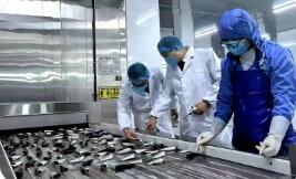 去年出口水產(chǎn)品近三十萬噸 “泉州味”水產(chǎn)品“出?！币?guī)模創(chuàng)新高