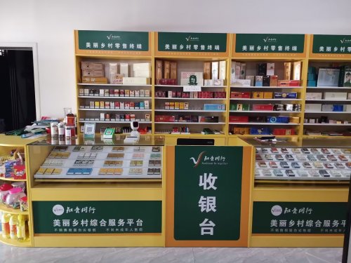 賦能終端，溫暖同行，共繪基層新圖景