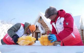 哈爾濱冰雪大世界全新打造“植物彩色冰村落”