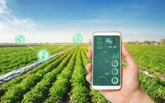 推動(dòng)農(nóng)業(yè)綠色轉(zhuǎn)型向縱深挺進(jìn)