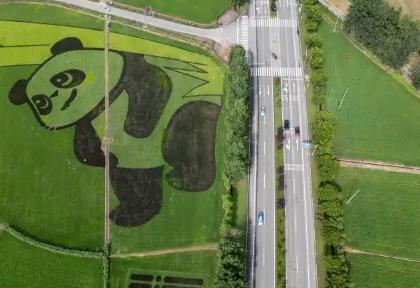 四川打造新時代更高水平“天府糧倉” 糧食產(chǎn)量達到732.5億斤