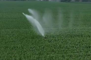 聚焦中央一號文件 高標(biāo)準(zhǔn)農(nóng)田建設(shè)加快 冬修水利按下“快進(jìn)鍵”