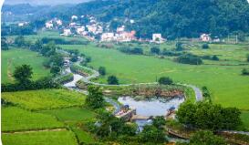 農(nóng)業(yè)農(nóng)村部：重點(diǎn)抓好八方面工作落實(shí)中央一號(hào)文件精神