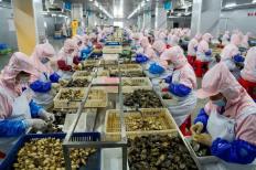 福建水產(chǎn)品出口連續(xù)13年居全國(guó)首位