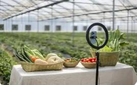 2025年農村網(wǎng)絡零售額首次突破3萬億元