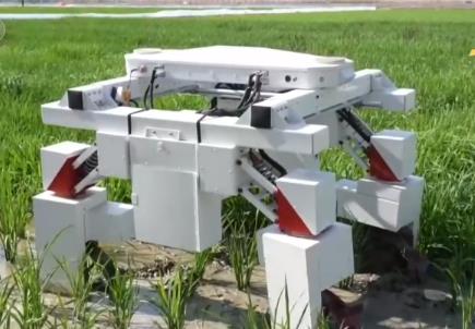 傳統(tǒng)育種遇上AI 讓農(nóng)業(yè)更高效 豐收更可期