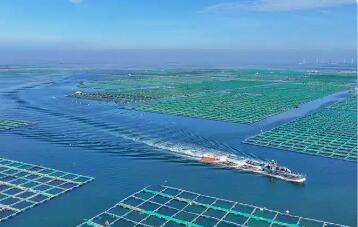 碧波萬(wàn)頃可“耕田”——福建繪就“海上糧倉(cāng)”新圖景