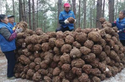 四川“十四五”藥械產業(yè)交出高質量答卷