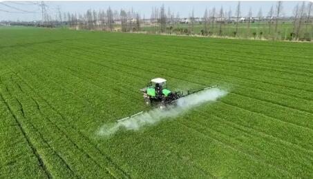 春季田管有序推進(jìn) 保障糧食穩(wěn)產(chǎn)豐產(chǎn)