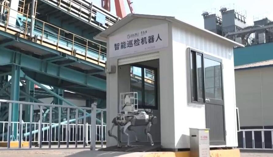 青島港“機器人家族”集體上崗迎新春