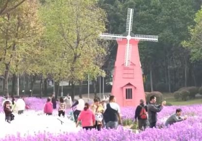 公園“玩”出“花樣”新年味 科技、運動、生態(tài)為游客解鎖多元游園新體驗