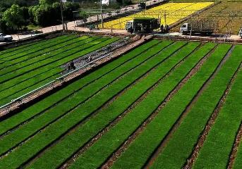 一體化推進(jìn)農(nóng)業(yè)農(nóng)村綠色發(fā)展