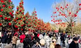 2026年春節(jié)假日游客達5.96億人次