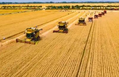 提升農(nóng)業(yè)綜合生產(chǎn)能力和質(zhì)量效益