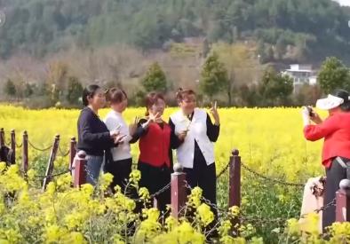 走“花路”、繪新景 農(nóng)文旅融合讓鄉(xiāng)村“冬閑田”變“增收田”