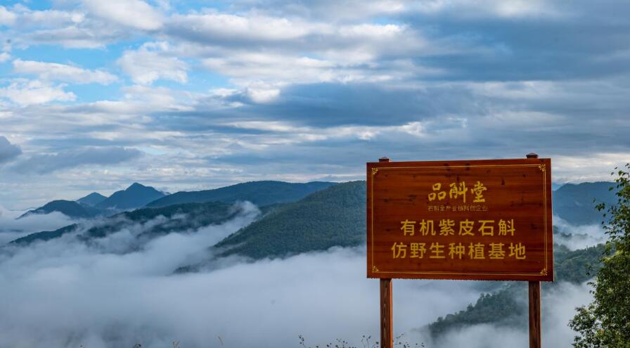 20260226135435335.jpg 20260226135435335.jpg