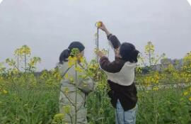 全國春耕春播氣象服務(wù)全面啟動(dòng)