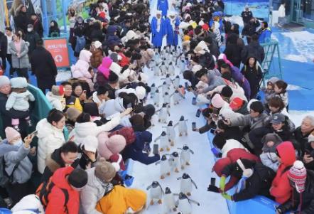 黑龍江省冰雪符號的爆款邏輯