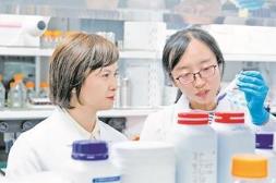 胚胎發(fā)育“關(guān)鍵開關(guān)”找到了 有望提高試管嬰兒成功率