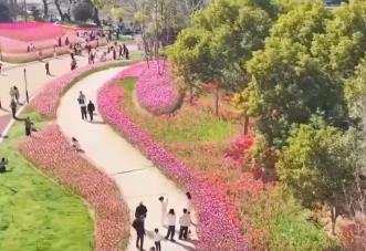 去踏青、共賞花，春意正濃！““春日經(jīng)濟(jì)”蓬勃綻放