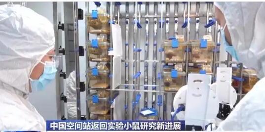 首次、首創(chuàng)、新突破！我國(guó)科技發(fā)展再添新成果