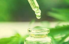 出口額連續(xù)三年下降 我國植物提取物行業(yè)亟須塑造差異化競爭優(yōu)勢