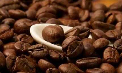 去年云南出口咖啡1.9萬噸 出口量值全國第一