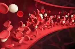 75%的成年血友病患者存在“靶關(guān)節(jié)”問題，專家建議突破醫(yī)保 “出血才可報(bào)銷”限制